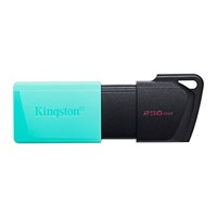 KINGSTON 256GB USB3.2 DTExodaM DTXM/256GB USB BELLEK