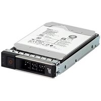 DELL 1TB 3.5 161-BBZW 7200RPM 512E SATA-3 SUNUCU DİSK